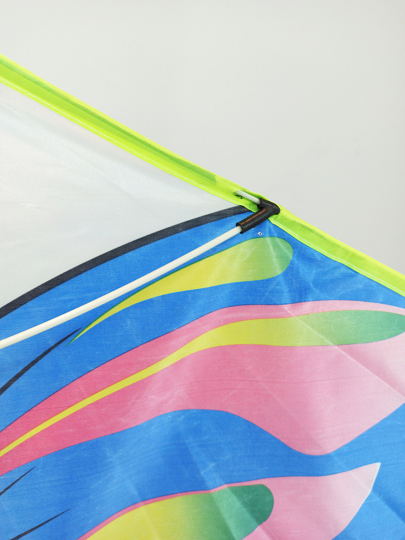 XCH长尾彩蝶- (7).jpg