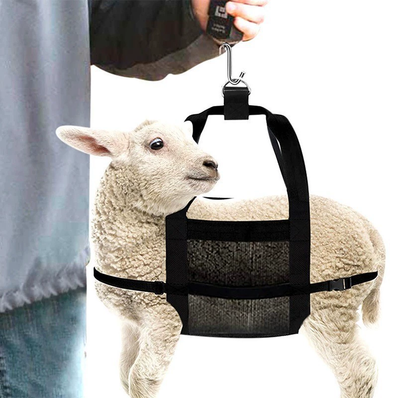 Трансграничные горячие продажи домашнего скота весы животных вешают весы для крупного рогатого скота и овец