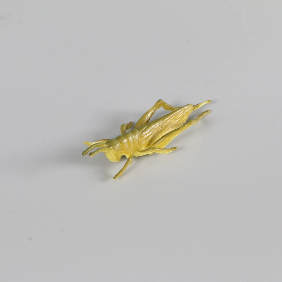 Toy, realistic small animal model plastic
