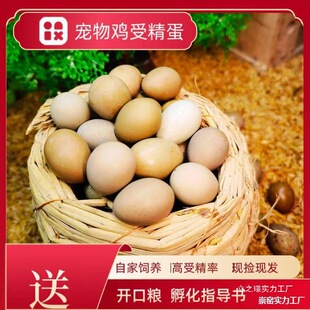 ���l�J���u�ܾ����ɷ��������u�W�t�u�R���u�N����ϵ׃�����߻�