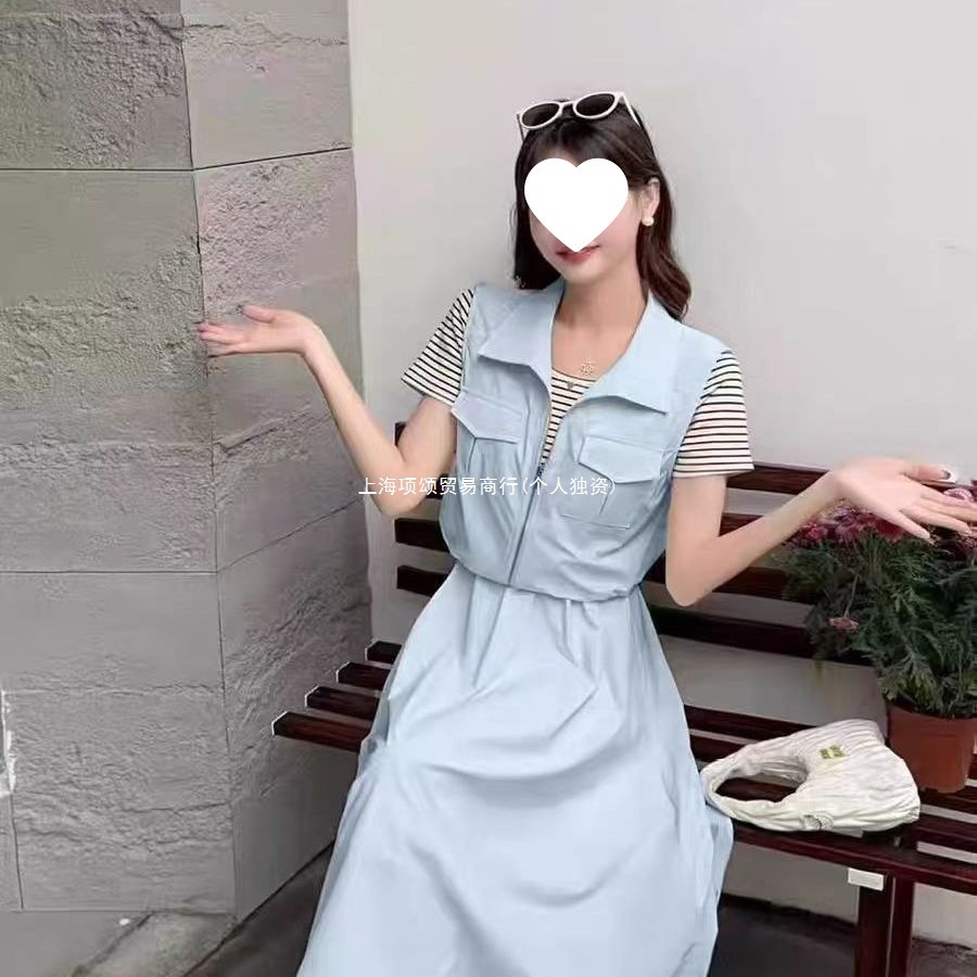 2025夏季新款轻奢简约时尚气质马甲纯色网纱独特拉链连衣裙两件套