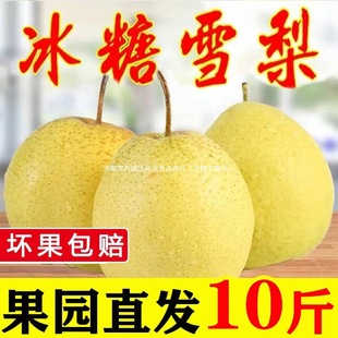 ѩ�����w�h���r����]ѩ��ˮ�����r�����������r10ѩ������5��9��