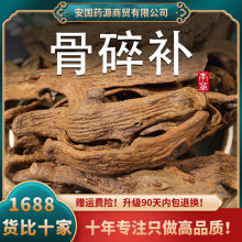 骨碎补中药材补碎骨碎骨补骨补碎爬岩姜毛姜猴姜新鲜非野生粉干货