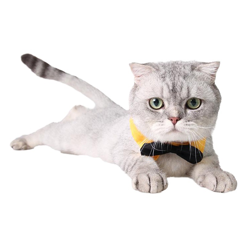 B006 Wholesale Dog Supplies Jizzai Creative Gentleman Tie Cotton Tie British Multicolor Pet Dog Supplies