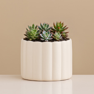 �մɻ�����þŌm�����Ծ��°�ɫins�p�݄��������L�����m������