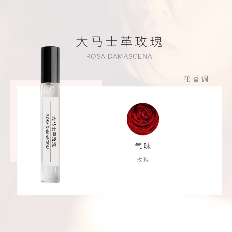 다마스커스 장미