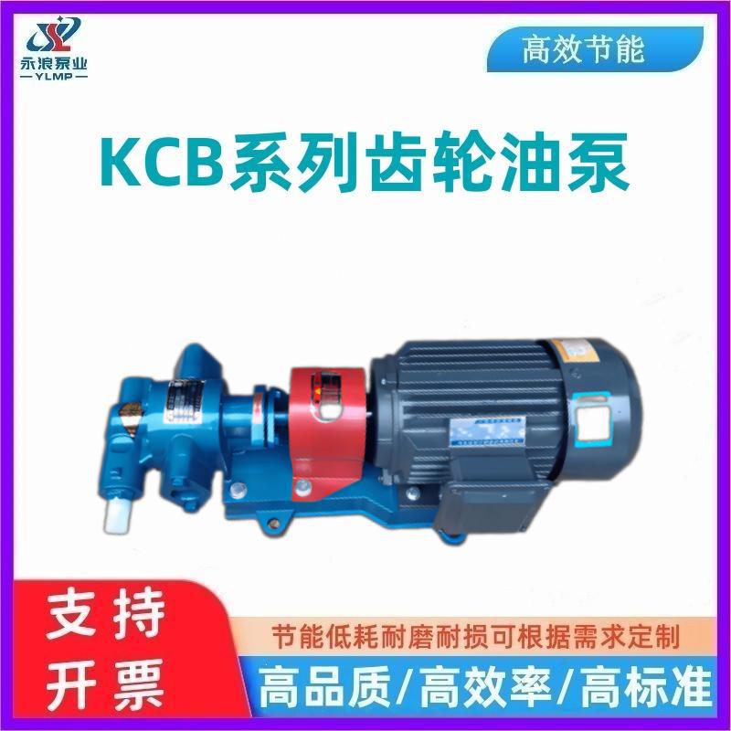 KCB齿轮泵不锈钢齿轮油泵304食品酱料输送卫生泵不锈钢泵变频