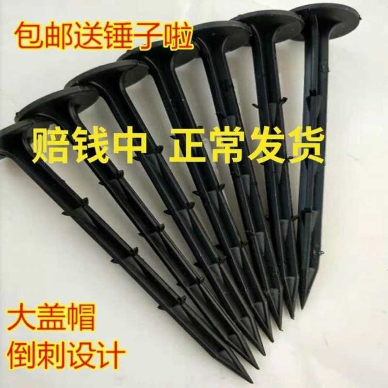 防布地钉除布钉园艺地布钉果园大棚薄膜钉加长粗固定塑料地钉|ms