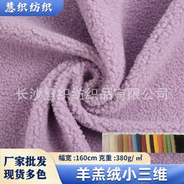 现货批发 羊羔绒颗粒绒布料 秋冬家居服毛毯家纺玩偶抱枕面料