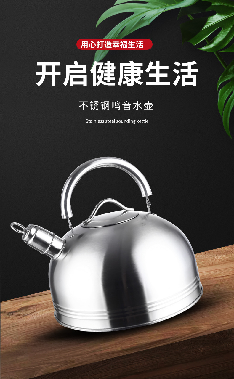 鸣音水壶_01.jpg