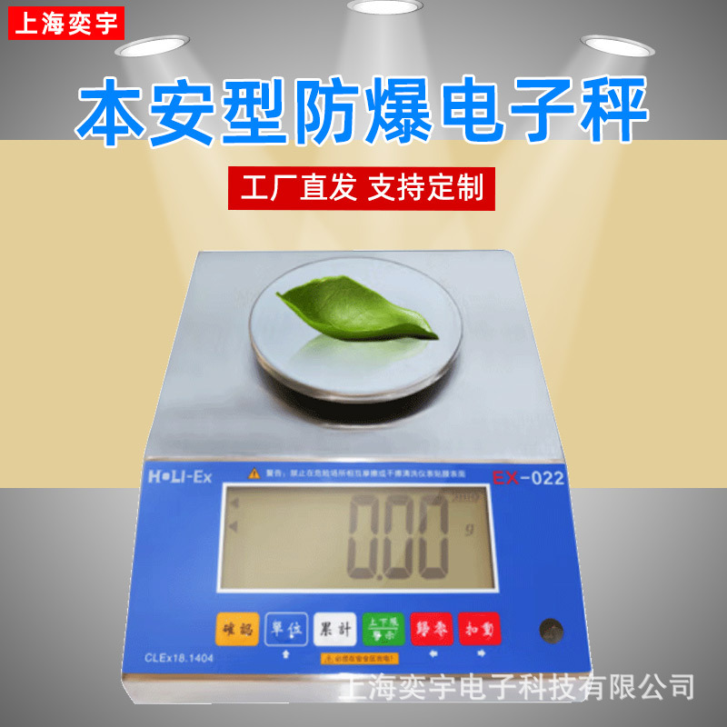 防爆电子秤
