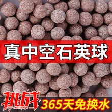 ~^VσˮʯӢпVմɼSҁRd