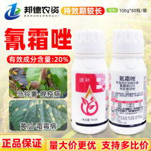 �����������a 20%��˪���S���߲��R���˪ù�����߲��rș������