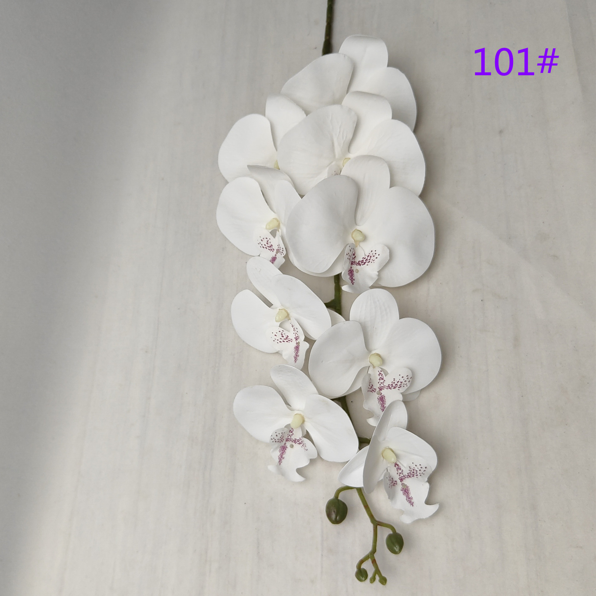 IMG20230516111900_副本