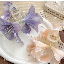 ���w��ٺϻ�ץ�A����Ψ���������ϰ�ɫ���仨�p�����{ɫ�l�A�Շ�