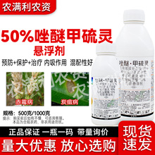 50%唑醚甲硫杀菌剂正品保证吡唑醚菌酯甲基硫菌灵农药赤霉炭疽病