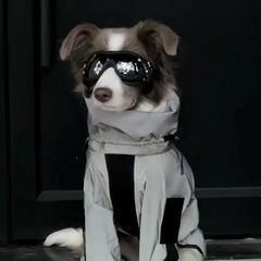 新宠物衣服加绒保暖连帽衣金毛拉布拉多边牧中大型犬反光冲锋衣