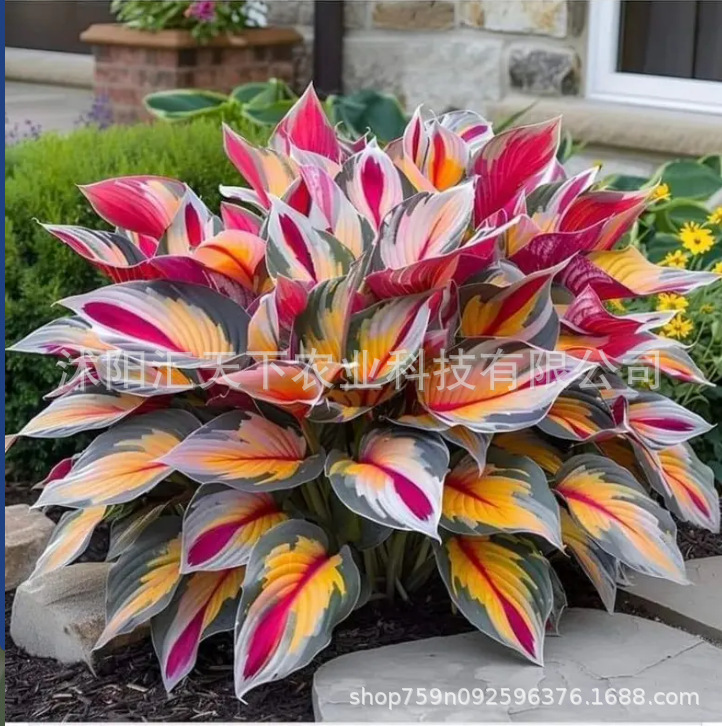 微信图片_20251025114338_1329_56