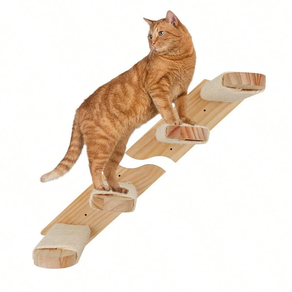 Ladder