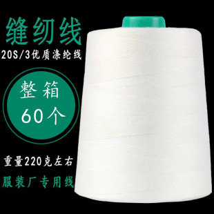 ��ȫ�����]��203Ҏ����ٜ�]�p�x�����ɷ���������ţ���д־�