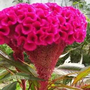 �羳�N�� �u�ڻ��N�� ���ѻ��ݷN�ӻ��ܷN�����l