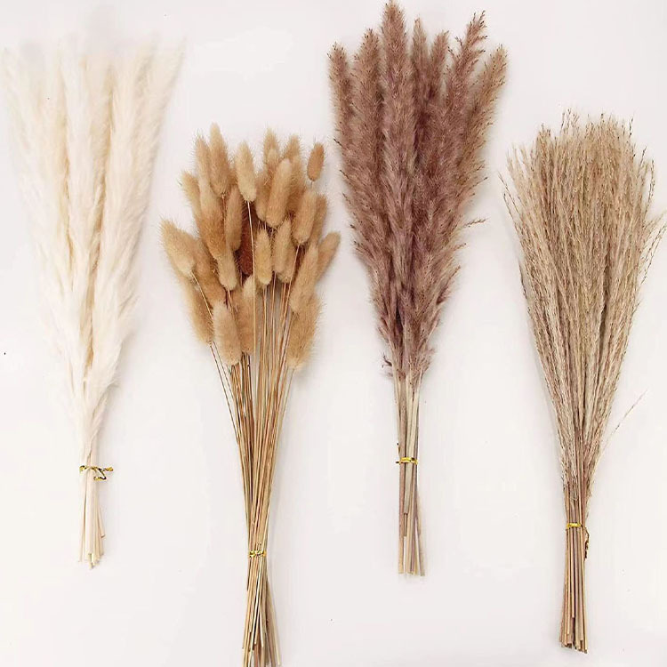 Reed Set Dried Flowers bouquet Nordic Style Decorative Ornaments Flower Arranging Living Room Decorative Ornaments Dried Flowers Reed Set Dried Flowers bouquet Nordic Style Decorative Ornaments Flower Arranging Living Room Decorative Ornaments Dried Flowers