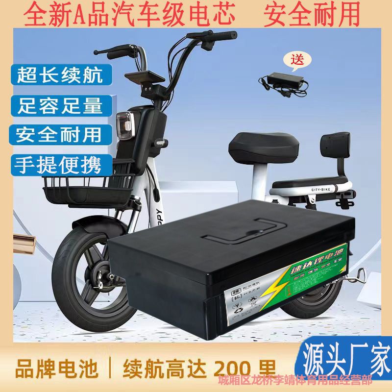 48V锂电池升级铅酸替换锂电池原装续航长寿命动力锂电芯通用车型