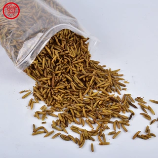 加工黑水虻干虫定制养殖厂鸟类宠物粮食养殖观赏鱼饲料黑水虻干虫