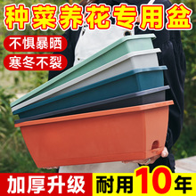 阳台长方形种菜盆种菜神器家庭阳台蔬菜塑料长条花盆槽盆厂家直销