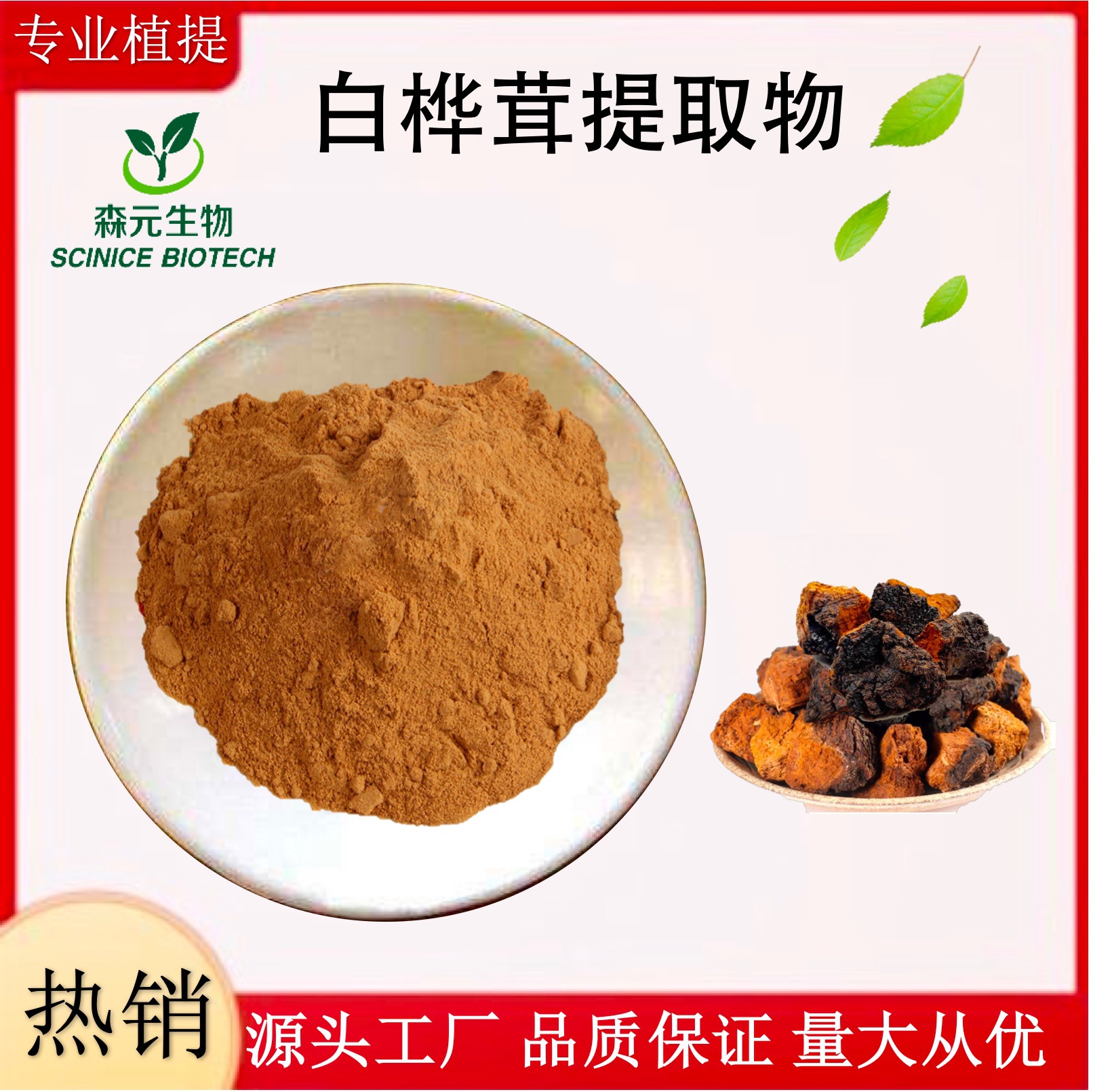 白桦茸提取物比例