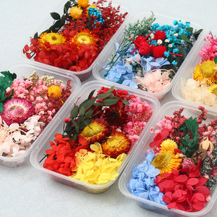 ��Ȼ�ɻ��滨���������滨�׃��@��ͯ�ֹ�diy�F�Ȳ��ϰ�