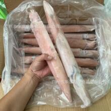 ԭֻ�t���~ 10��/�� ���r�r���~ �����ֻ������~