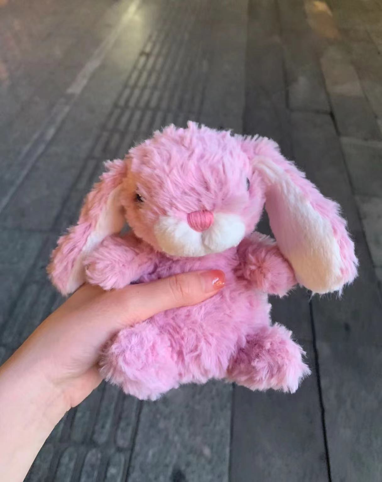 コレクション1;