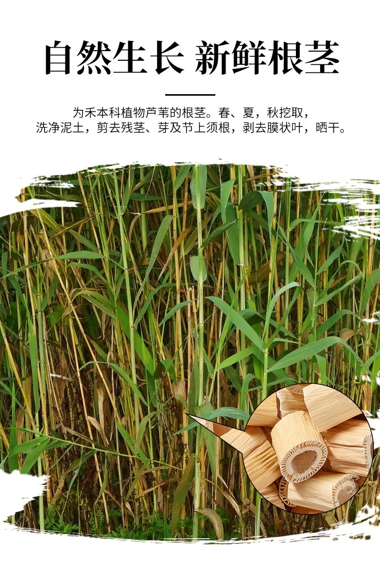 Dried Reed Rhizome Lu Gen 500g Wild Harvested Reed Root for Herbal Tea and Decoction overview