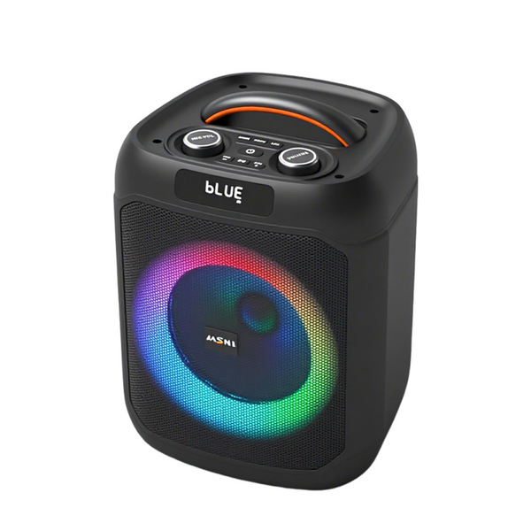 handheld speakers