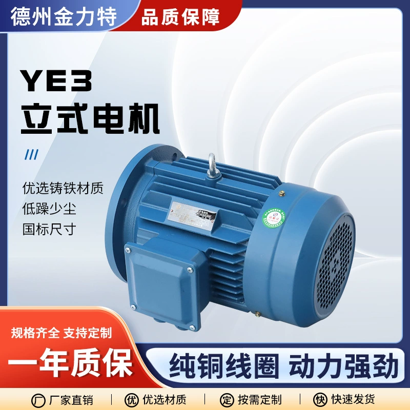 4-полюсный YE3 трифазный асинхронный двигатель 0.55kW-30kW полностью медный вертикальный двигатель 380V вертикальный двигатель