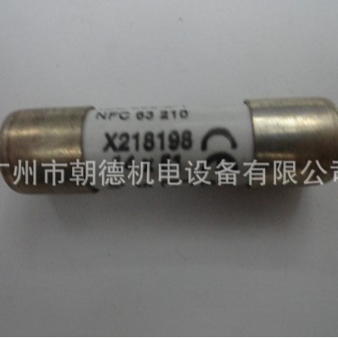 X218198J  40A   保险管