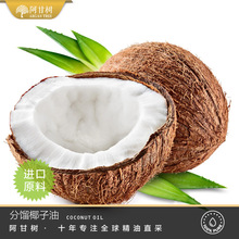 ���ʘ�ӡ����sҬ�����o�wCocos nuciferaֲ���ͻ��A�ͬF؛���l