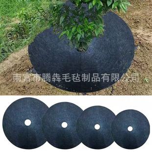 �羳�¿�A��ë�ֳ��ݲ�����͸����@�����@ˇ�Nֲ�串�wë�ֳ���