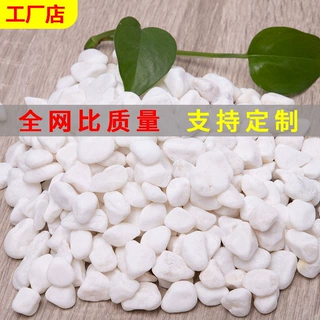 白色石子工厂庭院铺路鹅卵石鱼缸造景用水洗石阳台装饰景观白石头