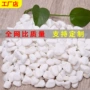 庭院景观铺路白色阳台
