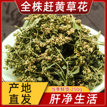 ĴAȫ^sSݲsSݻҰDøβ