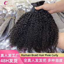 �ٷ�ȫ�淢pixie�������˷�����humanhair�ٷ�pixie curly����