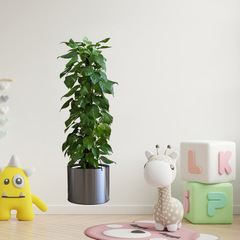 Factory New Green Leaf Green Plant Pot Plant Wall Sticker Painting Living Room Bedroom Corridor Entrance Children's Room Decorative Painting KSA-7D