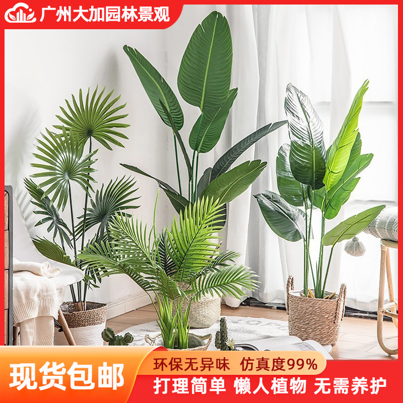 Planta verde artificial bonsai interior gran planta decoración fábrica al por mayor paraíso pájaro plátano decoración paisaje bonsai image 3