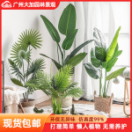 仿真绿植盆栽室内大型植物装饰厂家批发天堂鸟旅人蕉摆件造景盆栽
