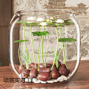 ��ɏ�N�߲������ɫˮ�໨��ˮ�B�ļ�ɏ���ɻ��Nɏź�Gֲˮ��ɏ��