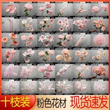 ��ʮ֦�b���S�����l�¿��ɫ����c�ٻ�Ī�λ��@�L��Y��