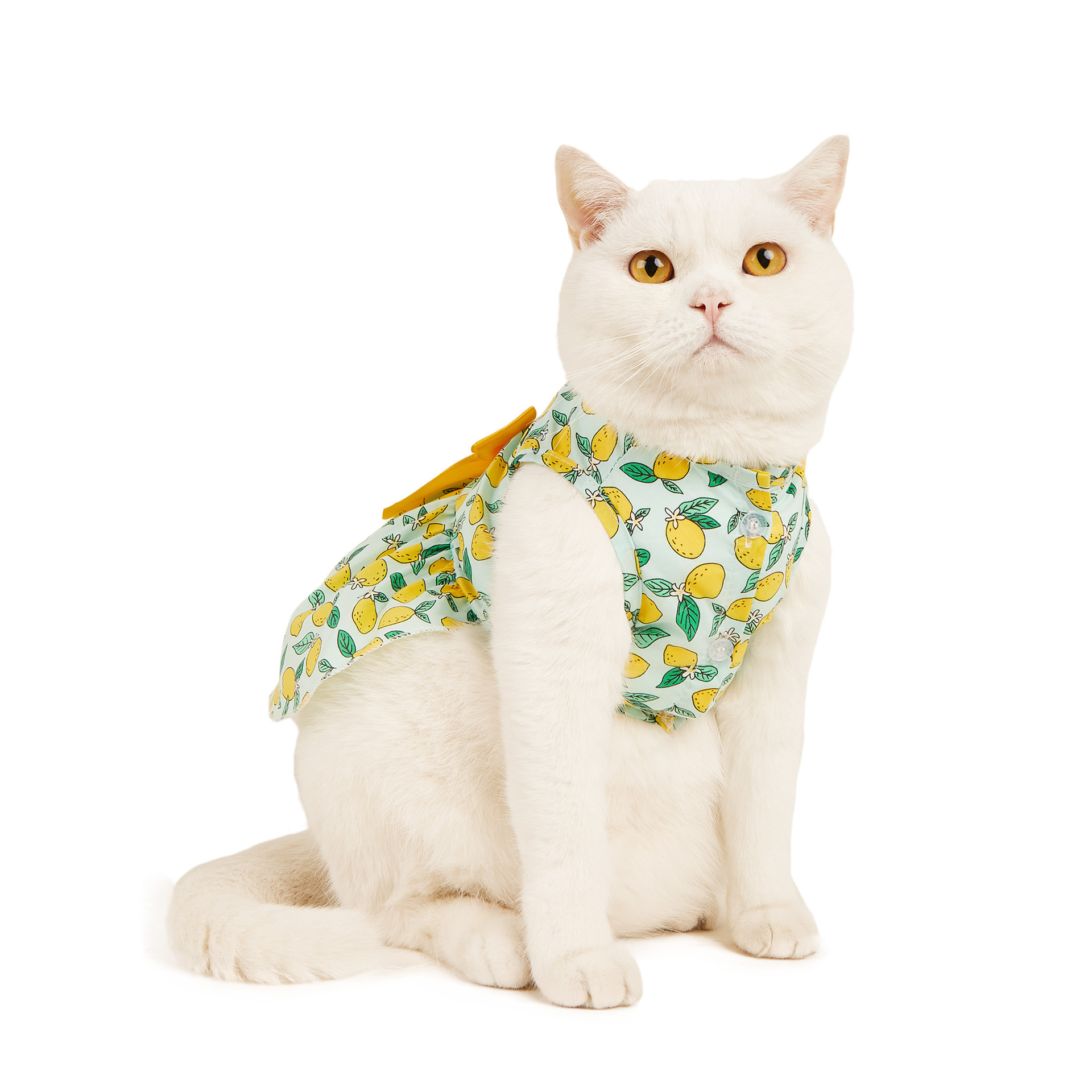 Pastoral Cotton Lemon Bow Knot Pet Clothing display picture 4