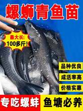 �ݽz���~���ش��ͺ������~�����l��С�~���B�ͻ����ݽz���~�~��